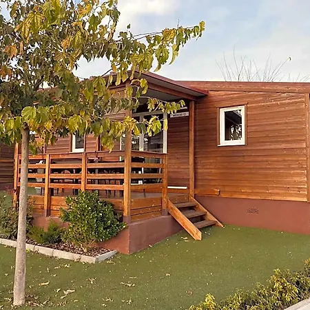Bungalow Plus Ferienhaus Berga
